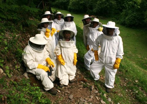 La Sacristana honey production